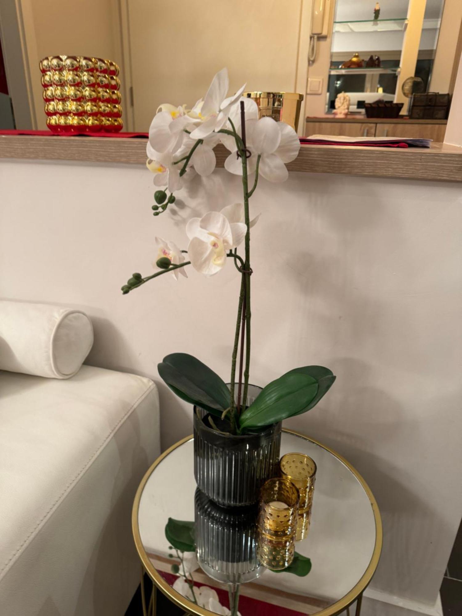奥布佐尔Sea View Penthouse公寓 外观 照片
