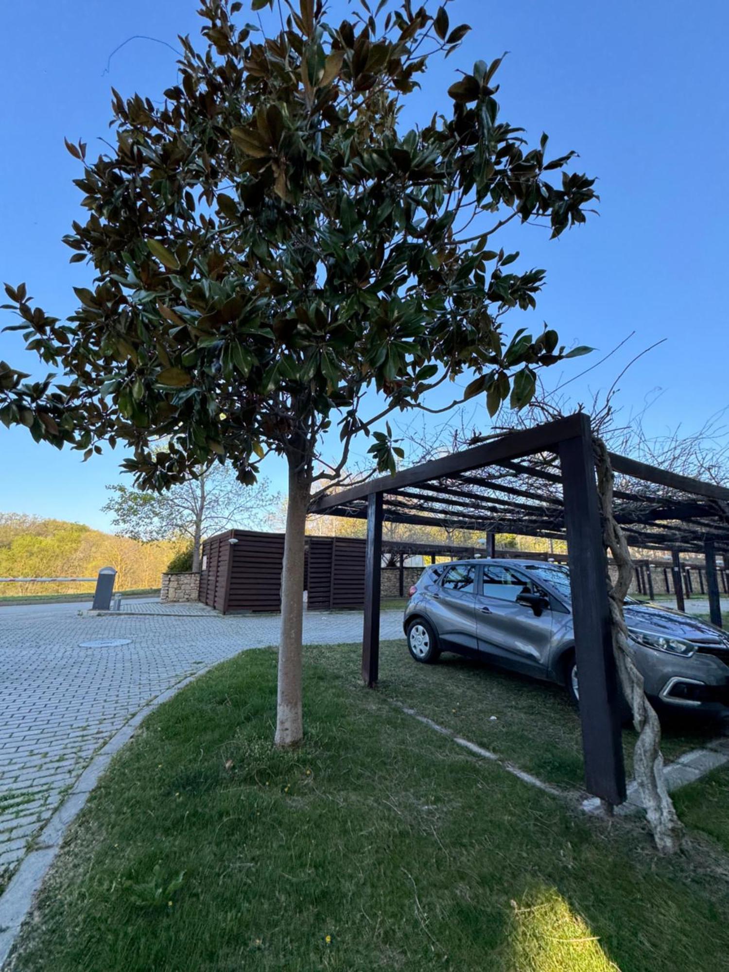 奥布佐尔Sea View Penthouse公寓 外观 照片